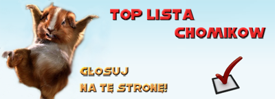 Top lista najlepszych chomików - Chomikuj.pl