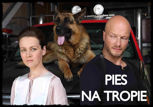 S01e09 Pl Zip Pies Na Tropie Seriale Wiertacz90 Chomikuj Pl