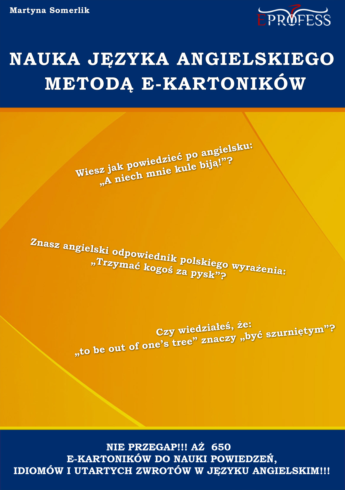 :: Nauka Języka Angielskiego Metodą E-Kartoników – ebook ::