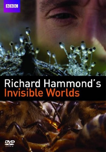Niewidzialne światy Richarda Hammonda