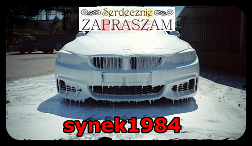 synek1984